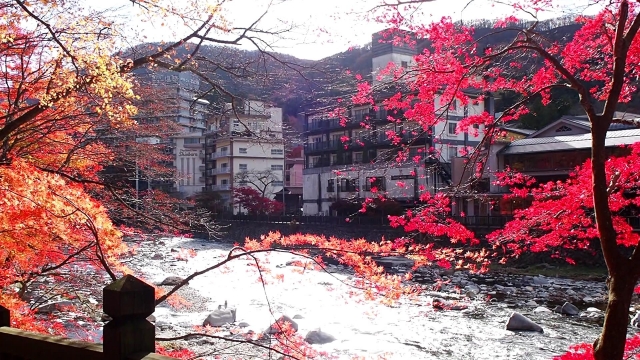 所沢 那須 温泉宿