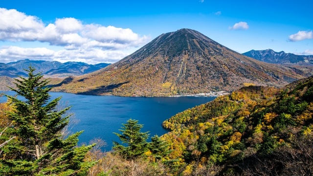 所沢 日光 温泉宿